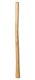 Medium Size Natural Finish Didgeridoo (TW692)